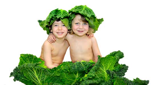 Veganere – de som kun spiser mat som kommer fra planteriket – må derfor få i seg B<sub>12</sub> fra tilsetninger i matvarer, kosttilskudd eller vitaminer.